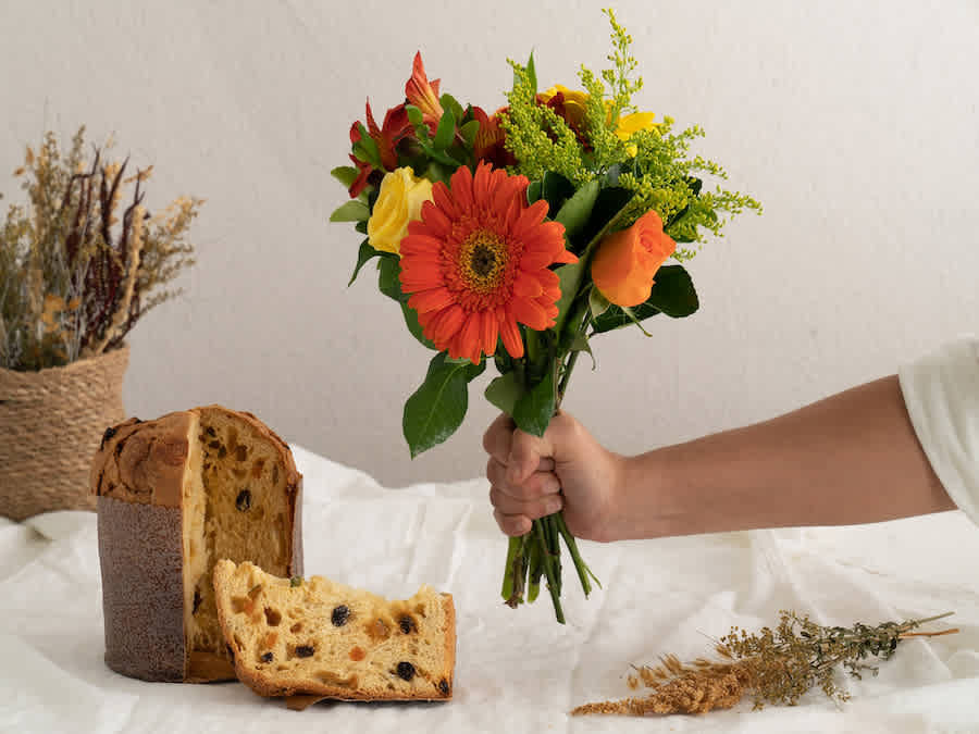 Raio de Sol e Panettone Para Entrega